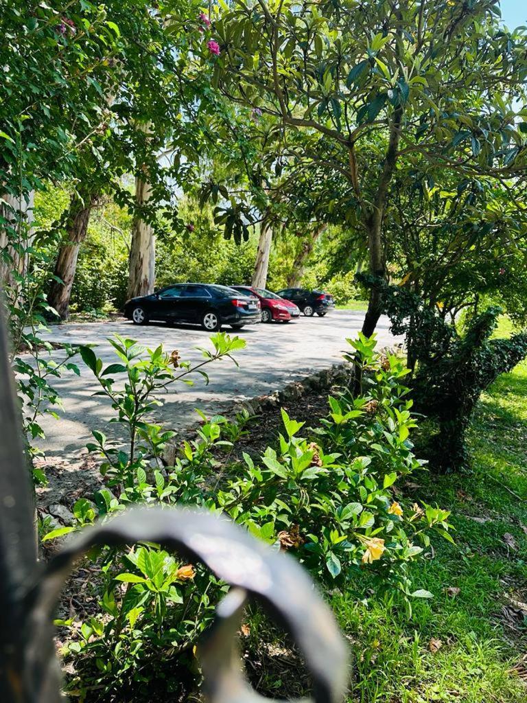 Vita Gardenia Hotel Tskaltubo Εξωτερικό φωτογραφία